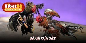 đá gà cựa sắt