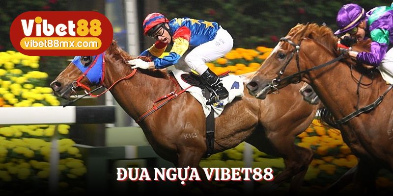 đua ngựa Vibet88