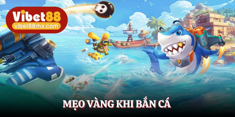 Tips vàng giúp ngư thủ săn cá tốt hơn